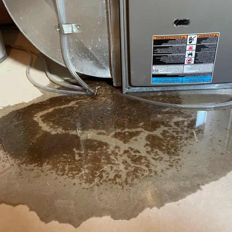 Pipe Burst and Leak Restoration in Salem, UT
