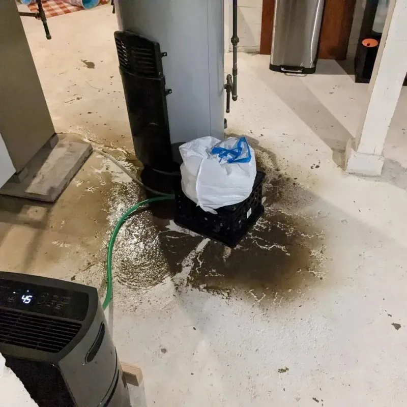 Sewage Backup Cleanup Service in Salem, UT
